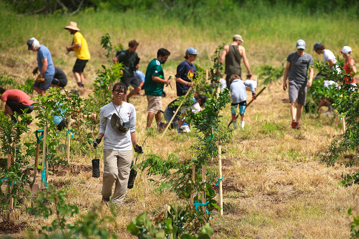 HLE Siembra The North Face and Para la Naturaleza