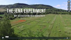 The Jena Experiment