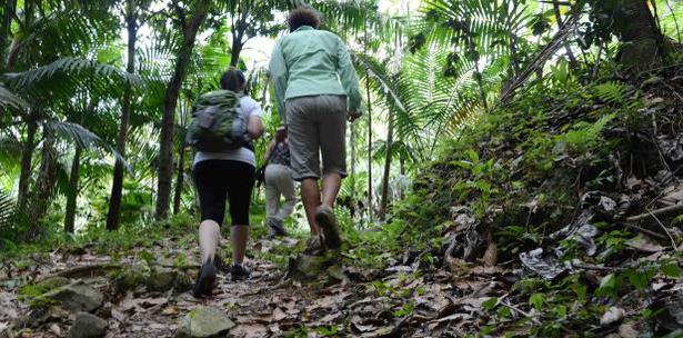 centro investigacion bosque Toro Negro Orocovis