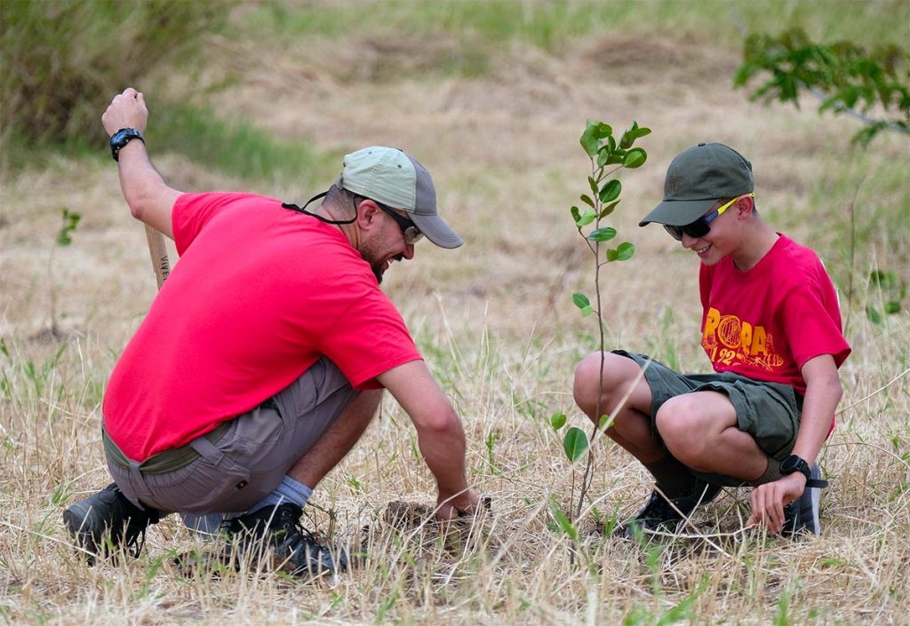 Actividad de siembra de 300 arboles