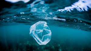 ocean plastic