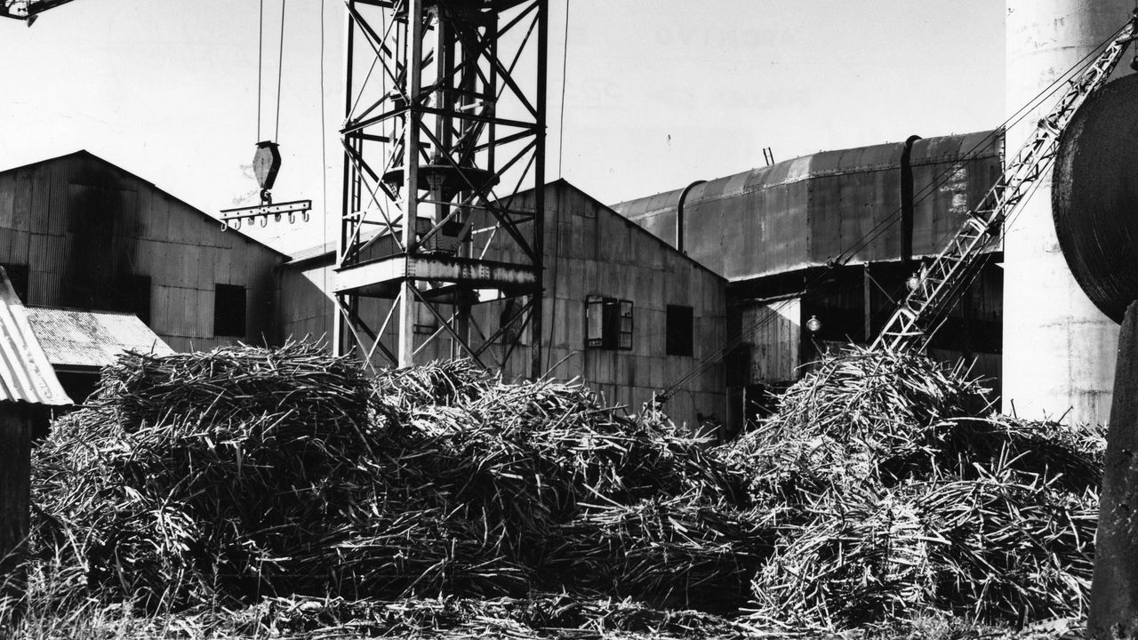 Central Azucarera Canovanas Puerto Rico 1963