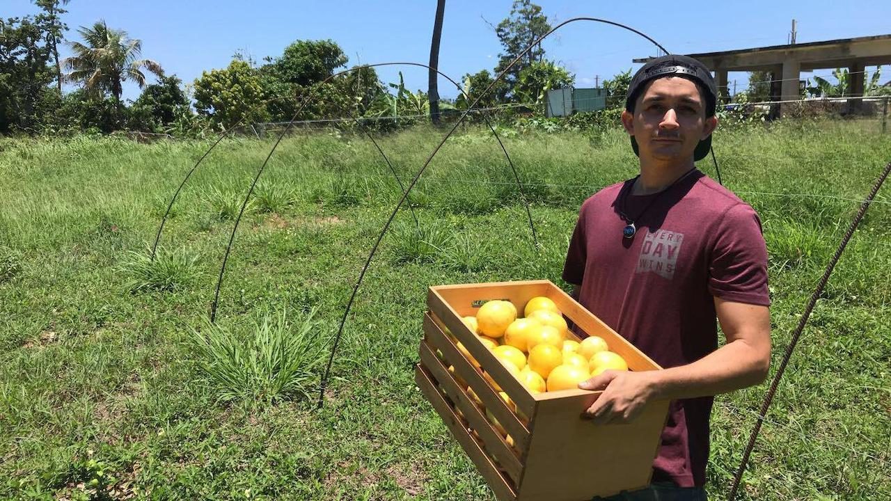 agricultura sustentable
