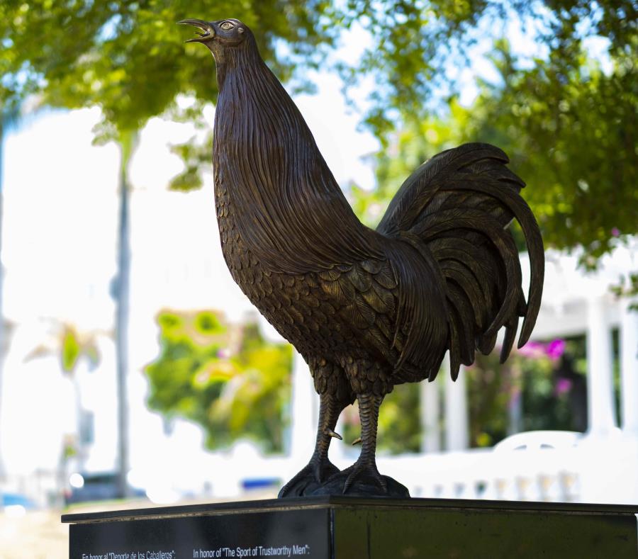 estatua de un gallo Puerto Rico