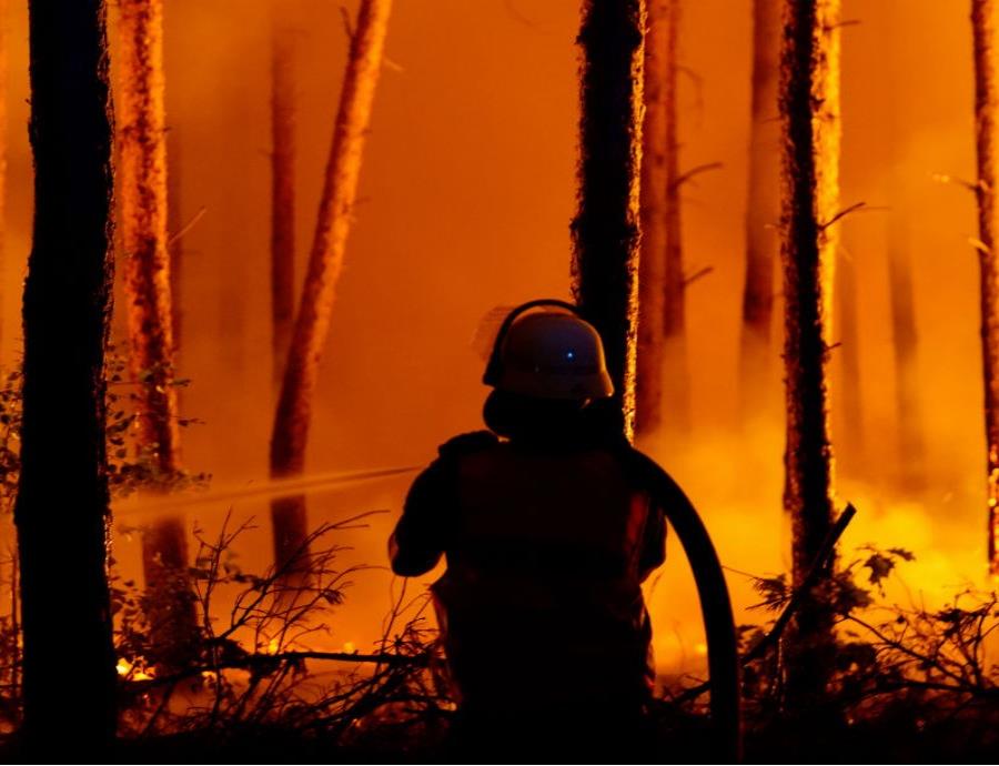 incendios forestales