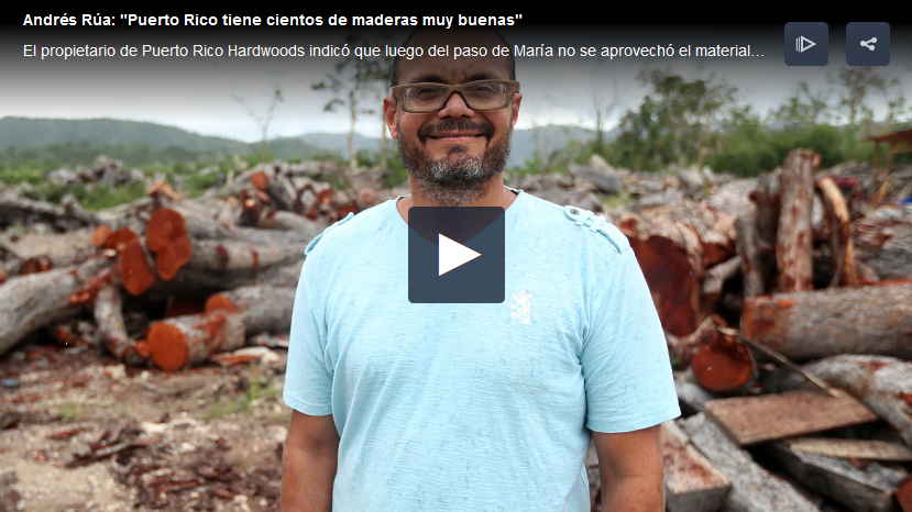 maderas nobles con potencial industrial