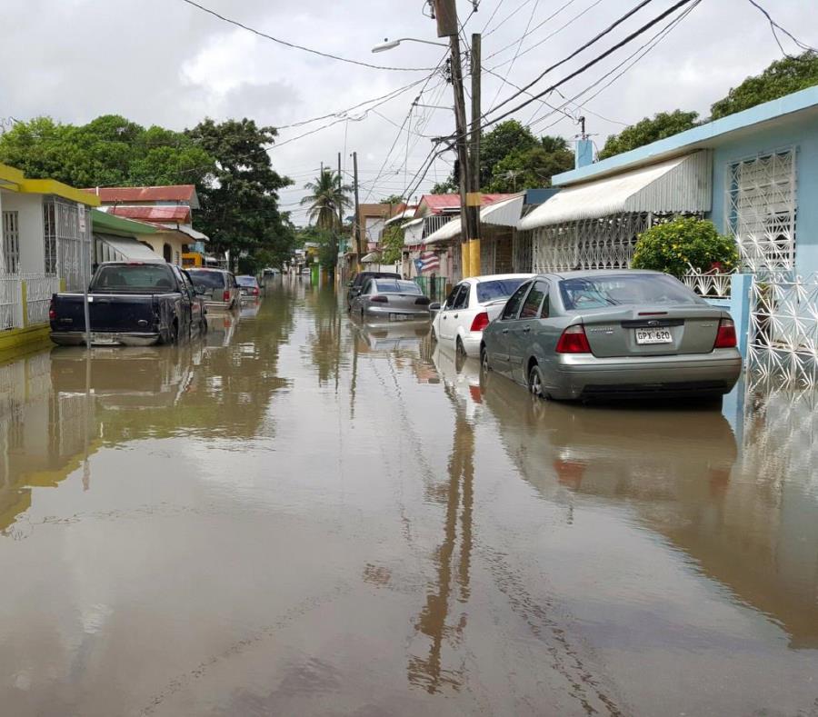 manejo de escorrentias
