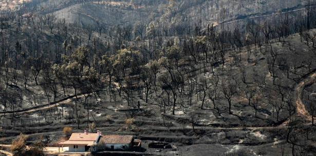 incendio centro de Portugal