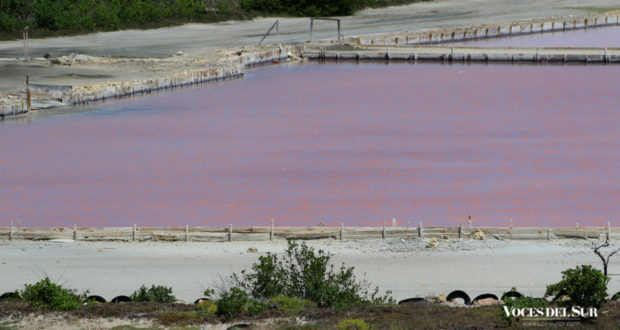 Las Salinas de Cabo Rojo