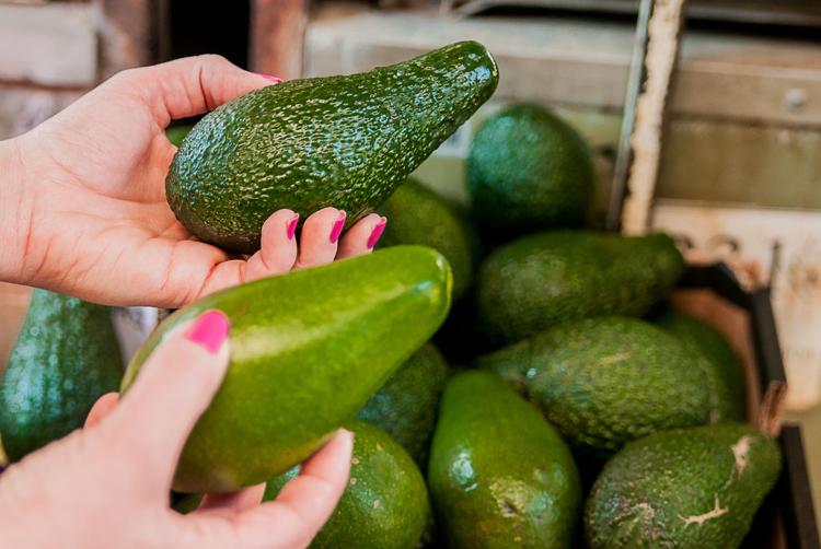 aguacate