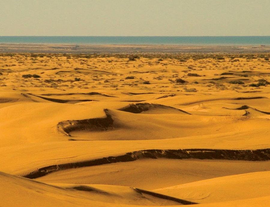 desierto