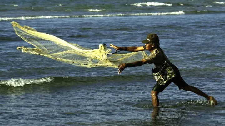 fisherman at work