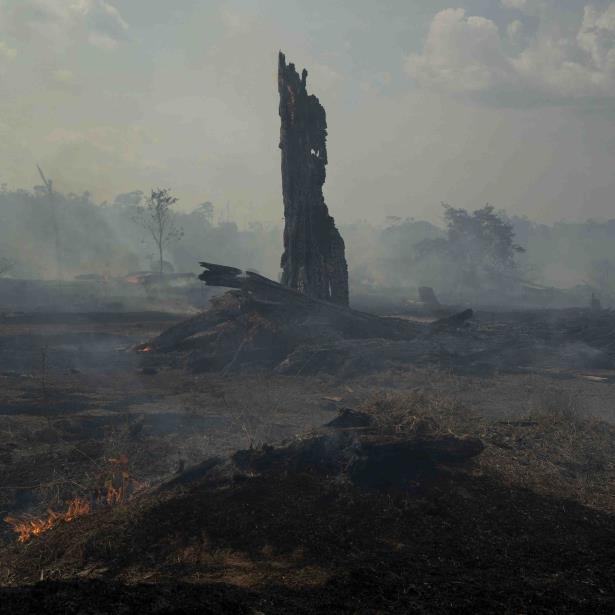 incencio en la Amazonia