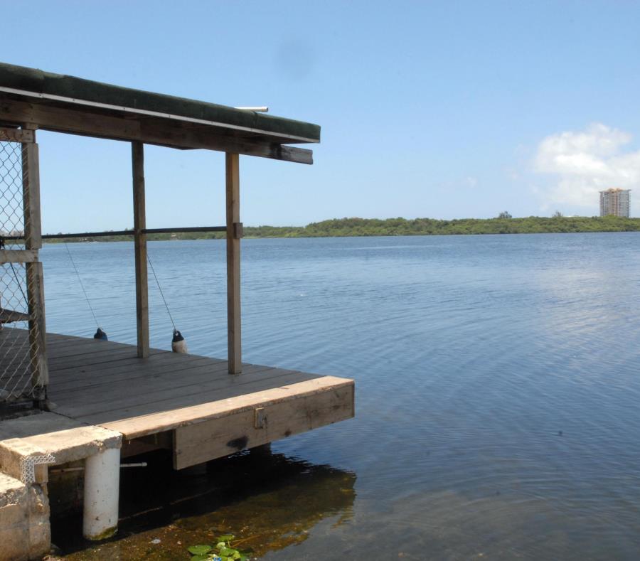 Muelle De Cantera