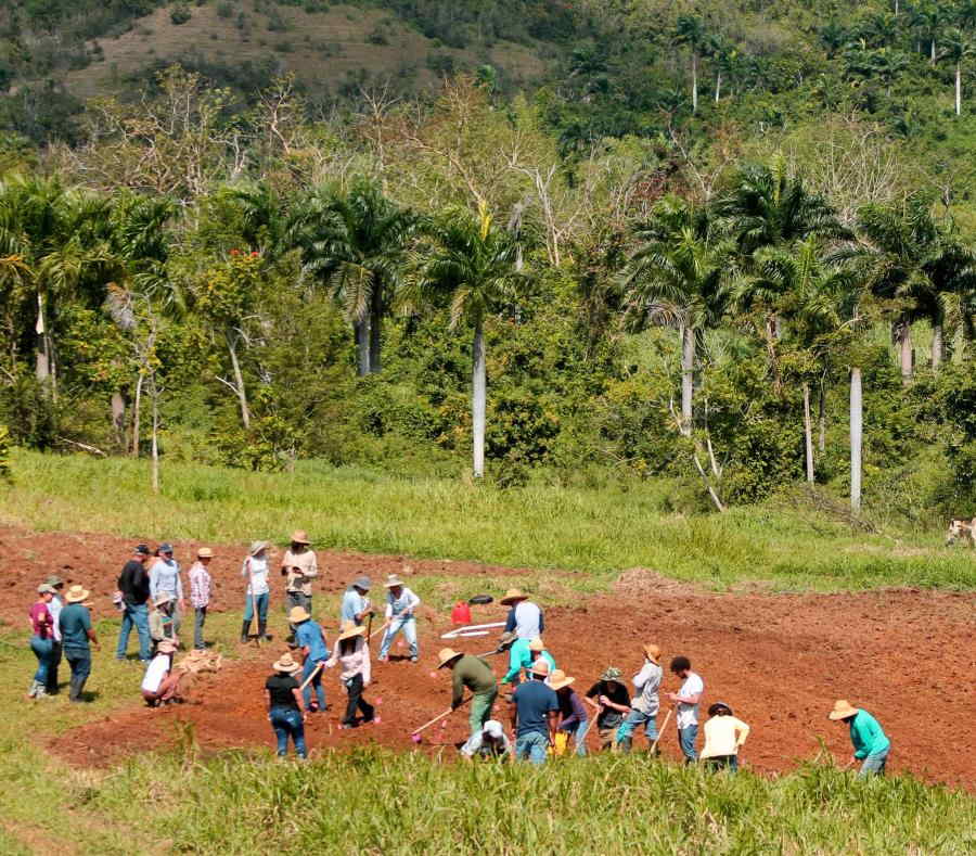 Proyecto Agroecologico El Josco Bravo en Toa Alta