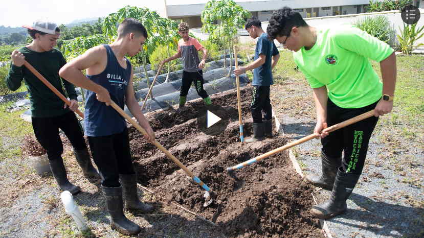 alumnos de la Escuela Superior Especializada Vocacional Agricola de Corozal