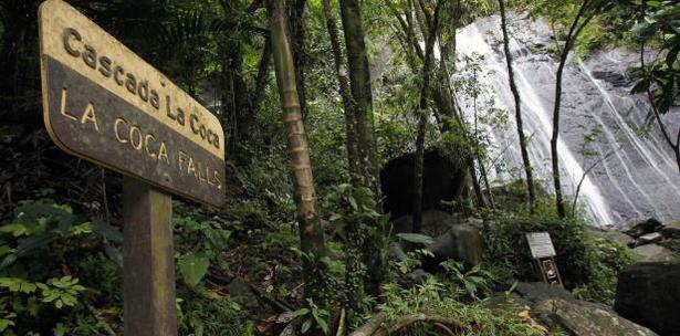 Cierre De El Yunque