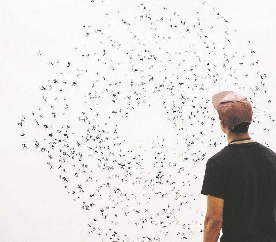Pieza Murmuration