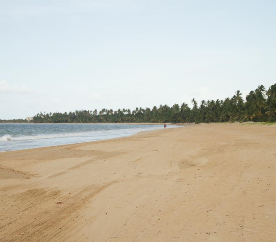 playa Bahia Beach