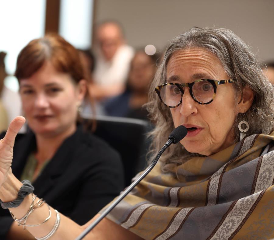 Ana Maria Garcia Blanco Directora Ejecutiva Del Instituto Nueva Escuela