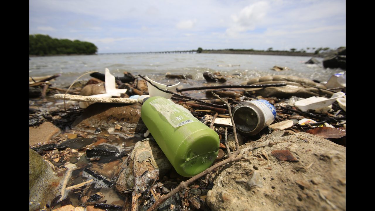 Desechos En Una Playa