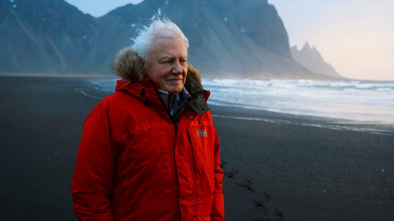 Sir David Attenborough Naturalista BBC Siete Mundos Un Planeta