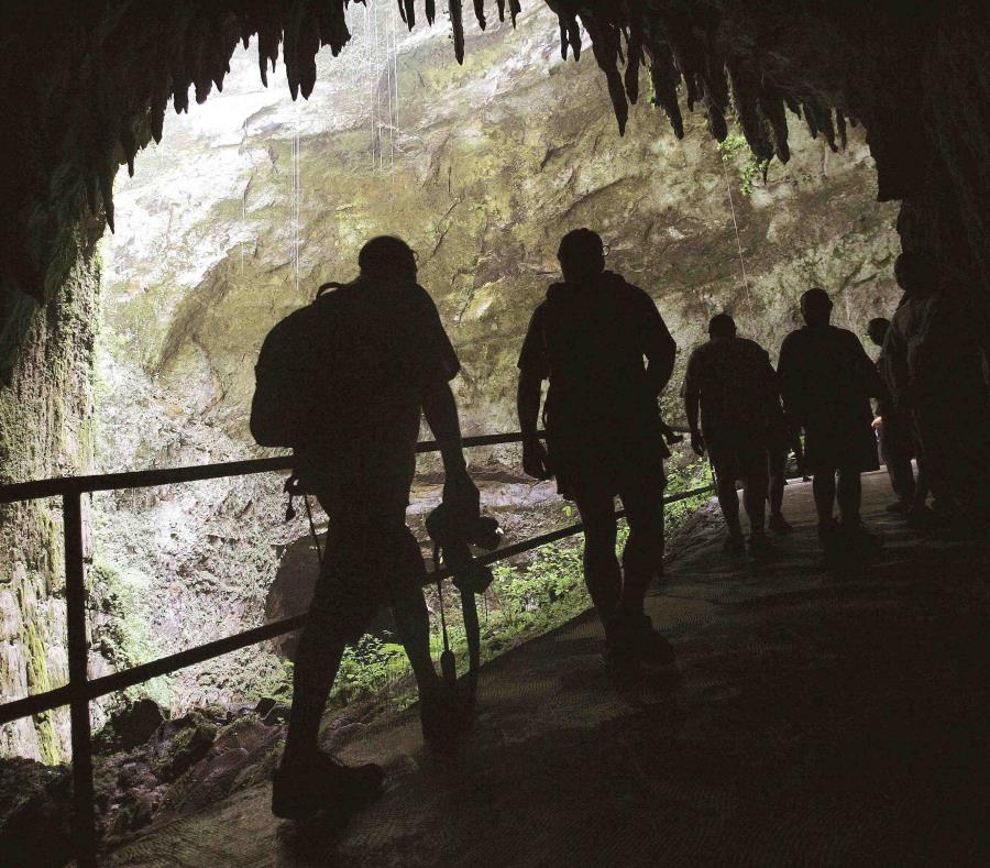 Parque De Las Cavernas Del Rio Camuy