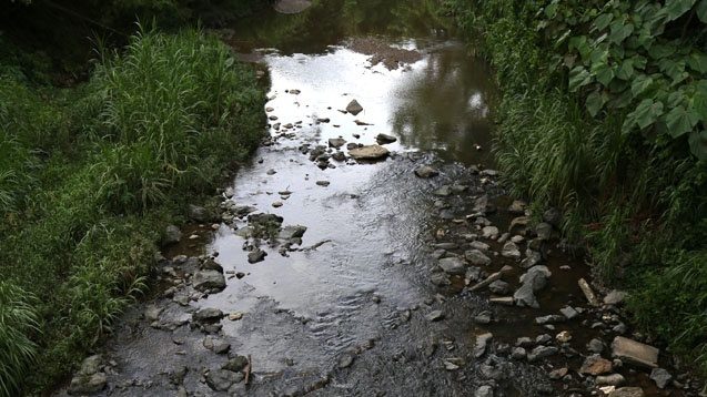RIO PIEDRAS