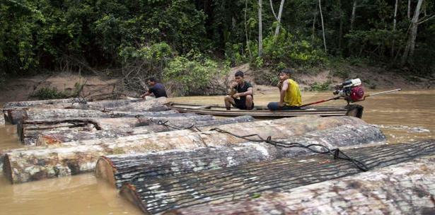 Ambientalistas Indigenas Peruanos