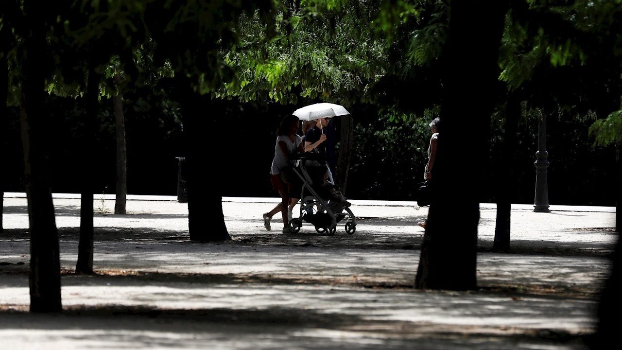 Areas Verdes En Las Ciudades