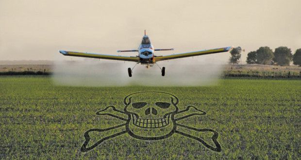 Genocidio Con Agrotoxicos