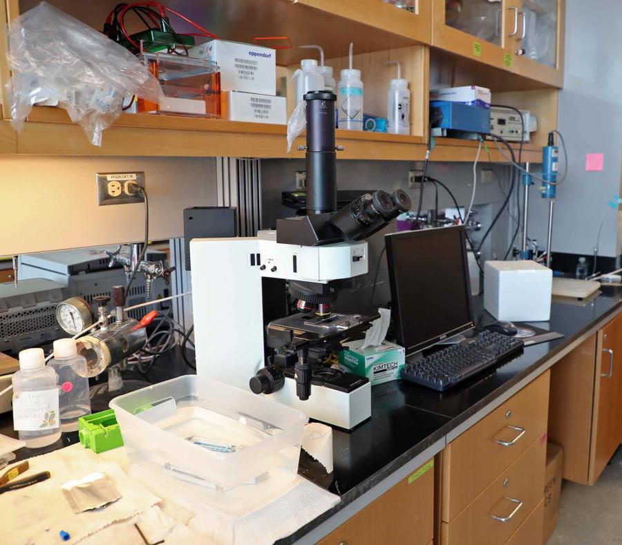 Laboratorio Investigacion Universidad De Puerto Rico