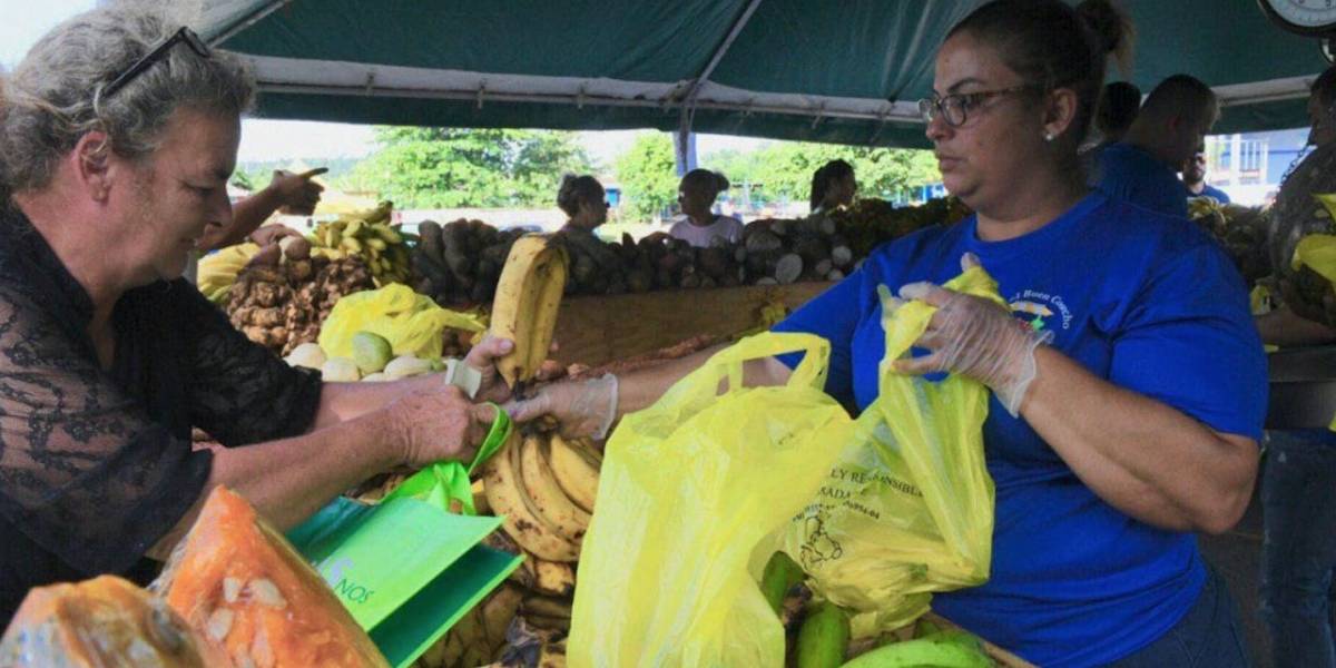 Mercados Agricolas Puerto Rico