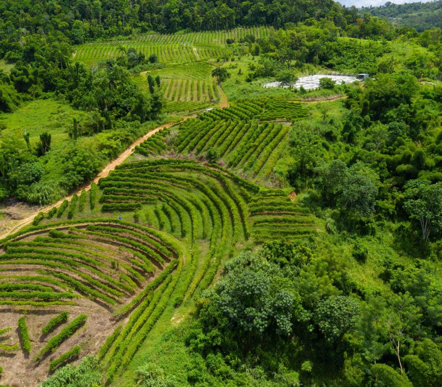 Agricultura
