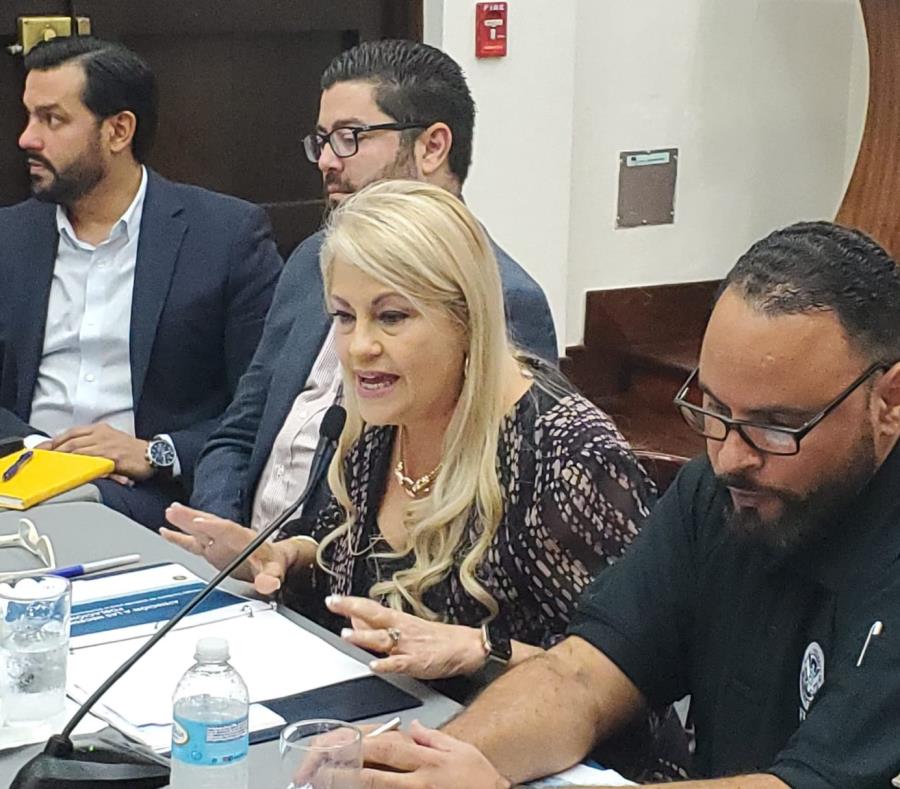 Gobernadora Wanda Vazquez