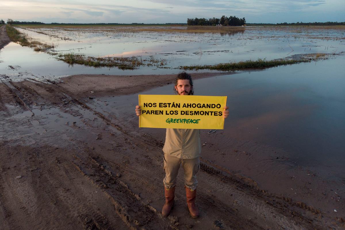 Deforestacion En El Norte Argentino