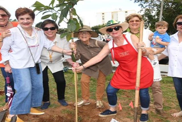 Exalumnas Del Colegio De Las Madres Plantan Arboles De Ausubos En La USC