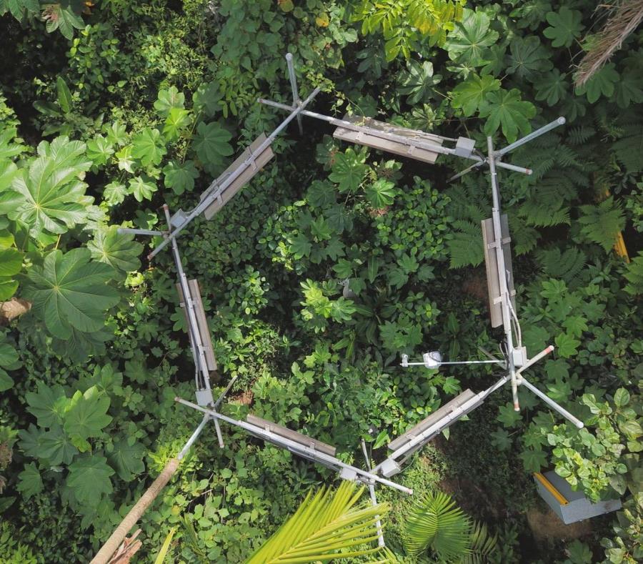 Instituto De Dasonomia Tropical
