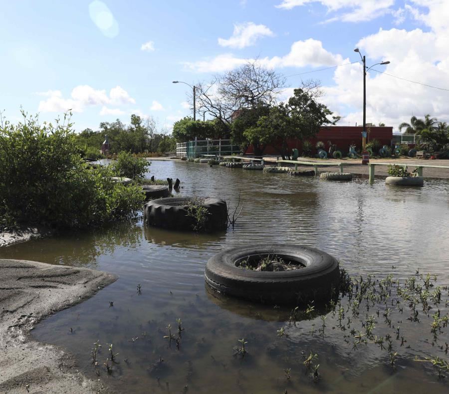 Comunidad De El Faro En Guayanilla