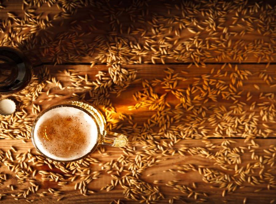 Granos De Cerveza