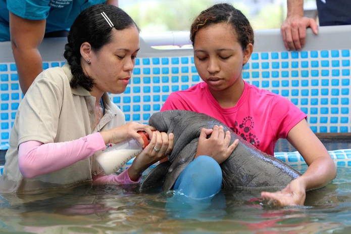 Manati Bebe Rescatada En Panama