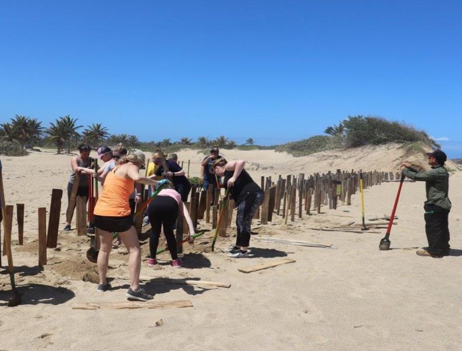 Aguadilla Restauracion De Dunas