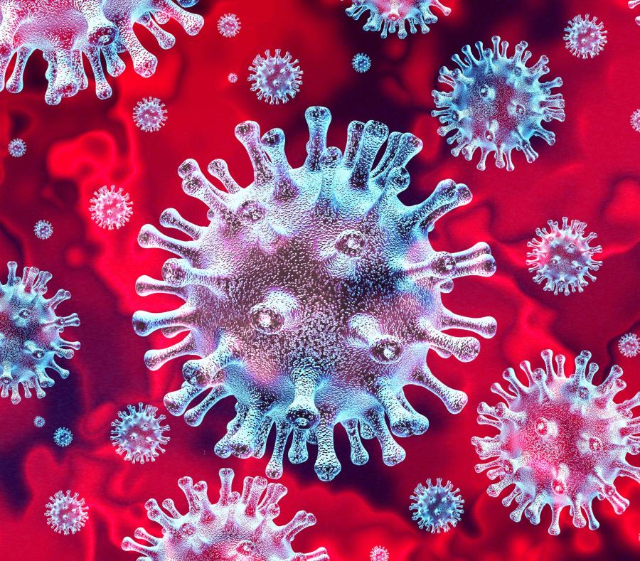 Coronavirus COVID 19