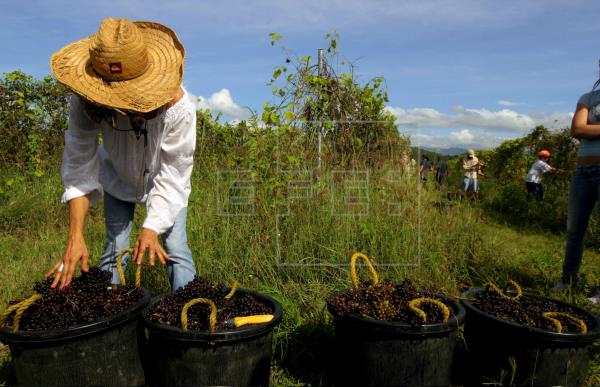 Agricultura