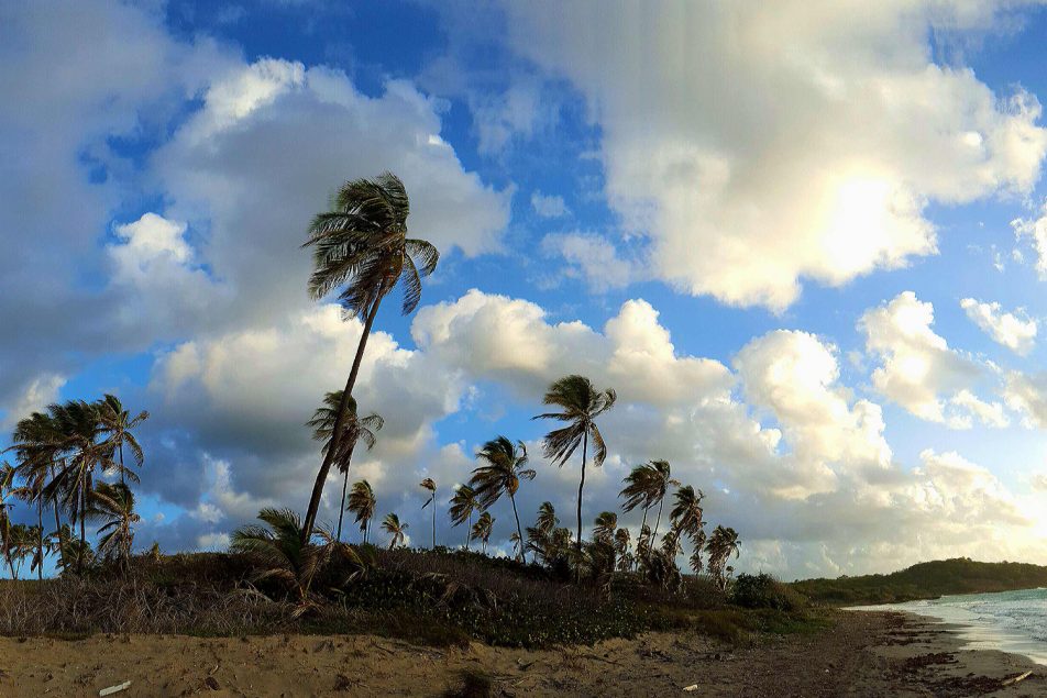 Frustrada anulación de reservas naturales apunta a otro esquema de corrupción