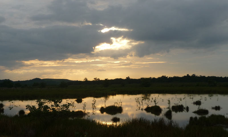 Paisaje
