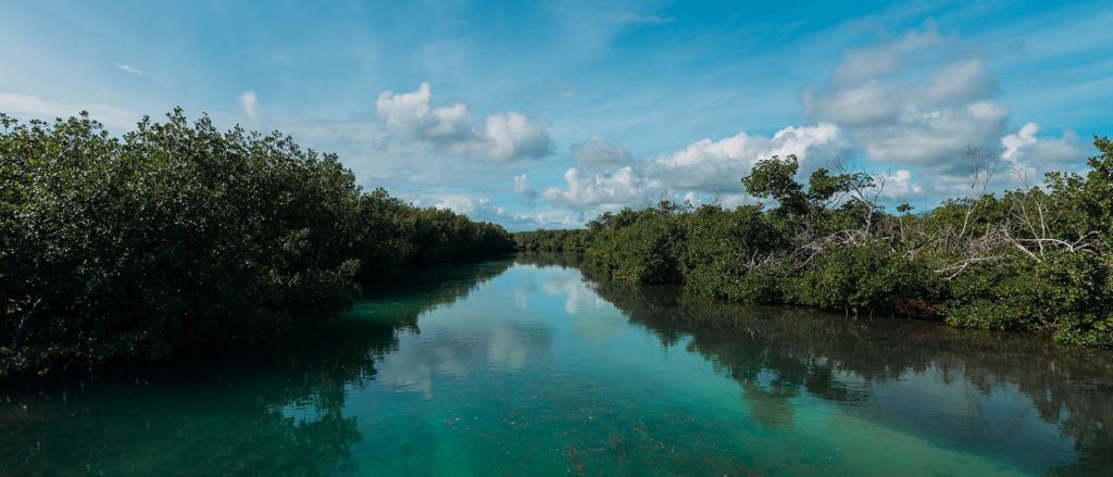 01 Humedal Los Machos