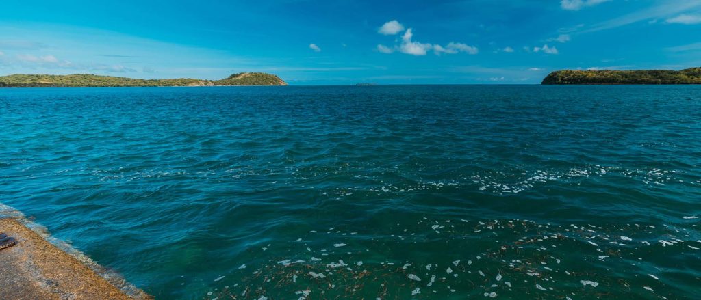 02 Humedal Los Machos