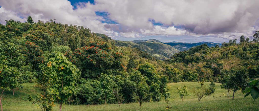 02 Sune Veredas Trail Puerto Rico