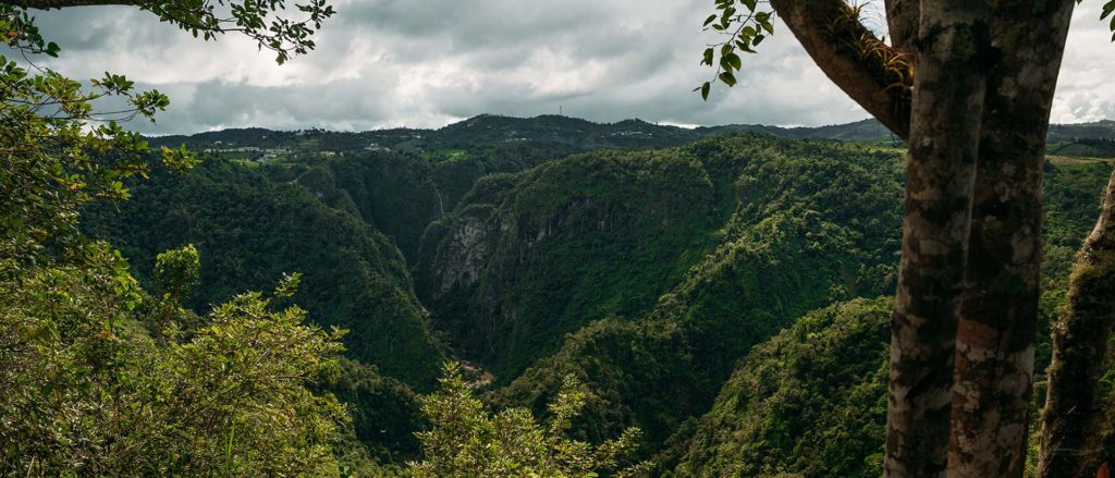 03 Sune Veredas Trail Puerto Rico